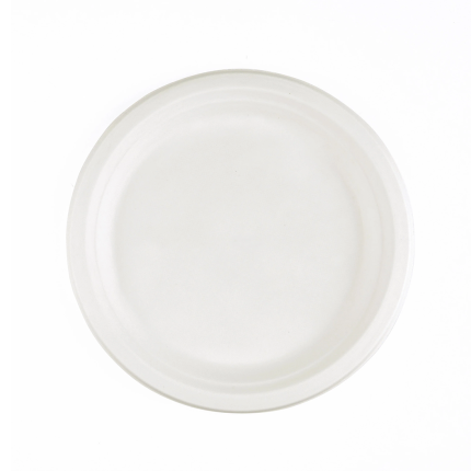 BAGASSE 10INCH