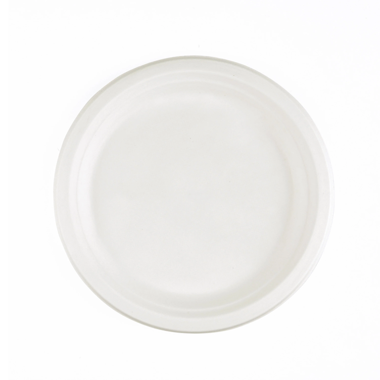 BAGASSE 10INCH